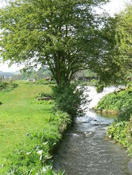 Caudwell's Mill Craft Centre景点图片