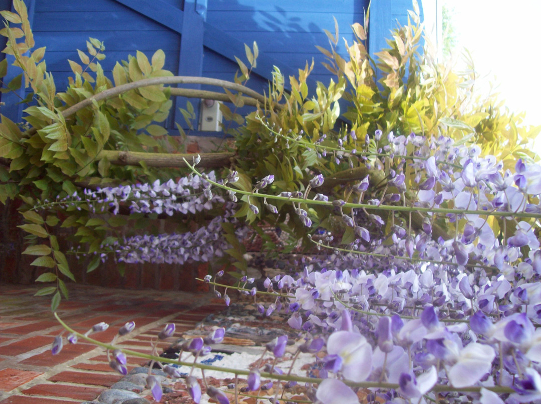 At Wisteria Corner主图