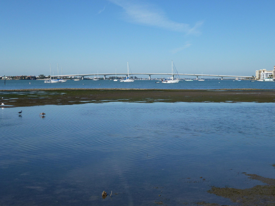 Marie Selby Botanical Gardens-萨拉索塔必去景点