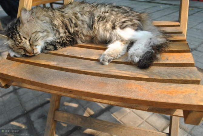 易静小栈四合院客栈主图