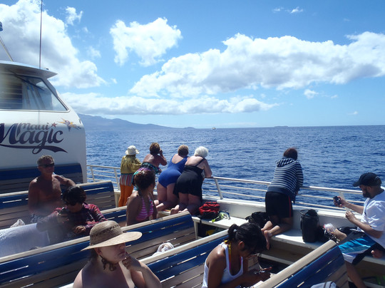 Maui Magic-怀露库必去景点