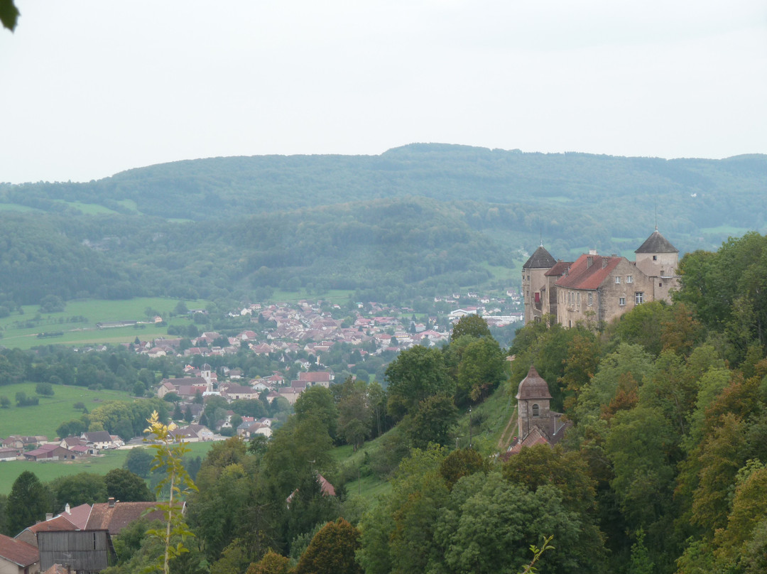 Château de Belvoir景点图片