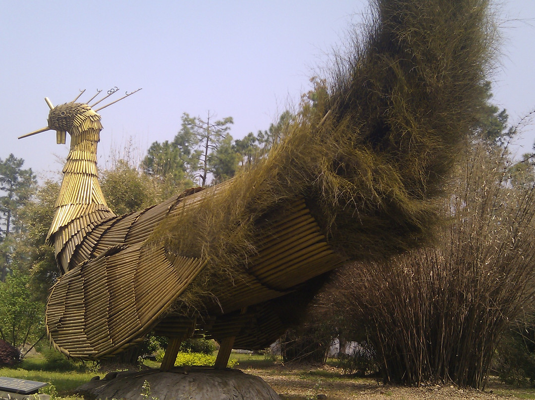 竹博园-安吉县必去景点