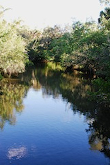 Koreshan State Park-埃斯特罗必去景点