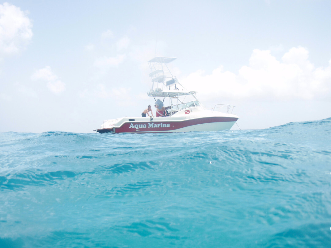 Aqua Marine Dive Center-圣 托马斯必去景点