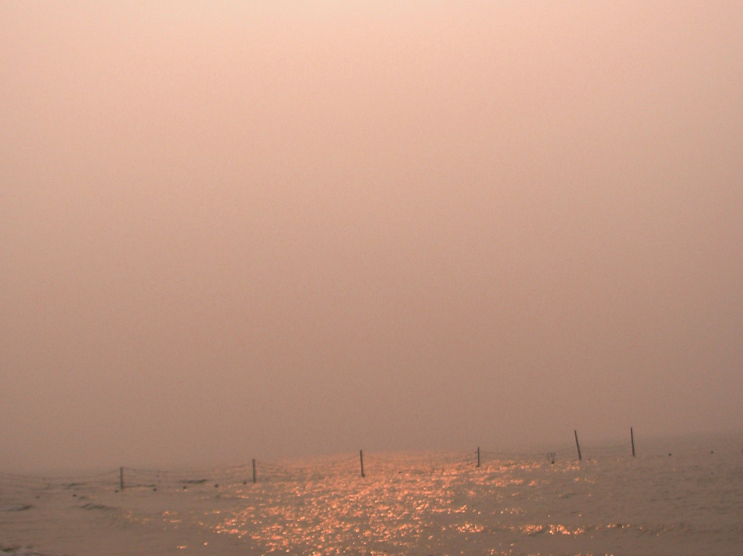 浅水湾浴场-乐亭县必去景点