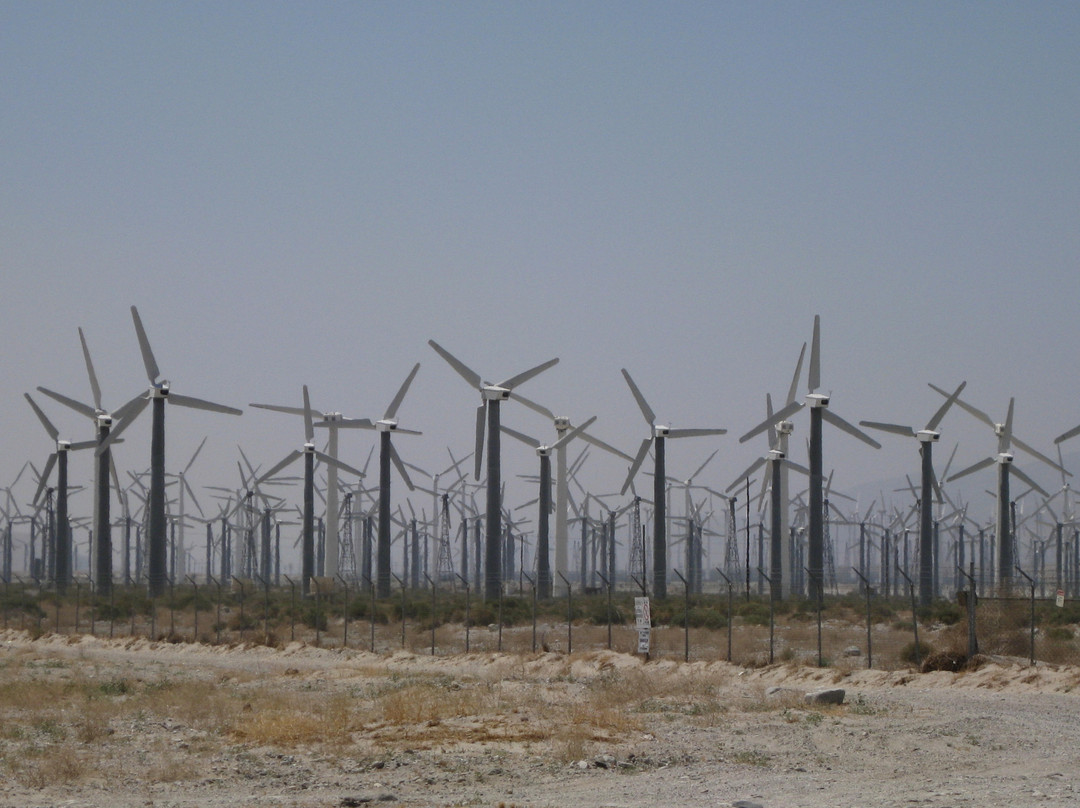 Palm Springs Windmill Tours-棕榈泉市必去景点