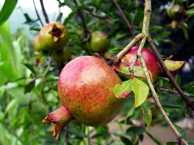琅琊山-滁州市必去景点