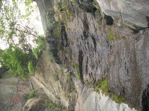 楼观台国家森林公园-周至县必去景点