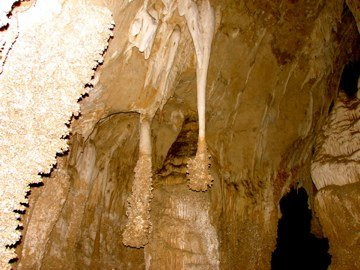 Lion's Tail-卡尔斯巴德洞穴国家公园必去景点