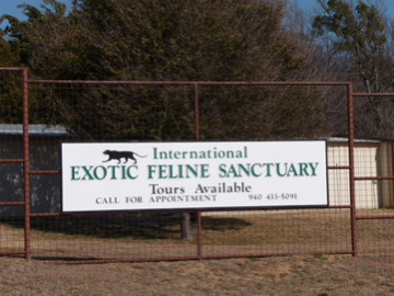 The Wild Animal Sanctuary - Texas-Boyd必去景点