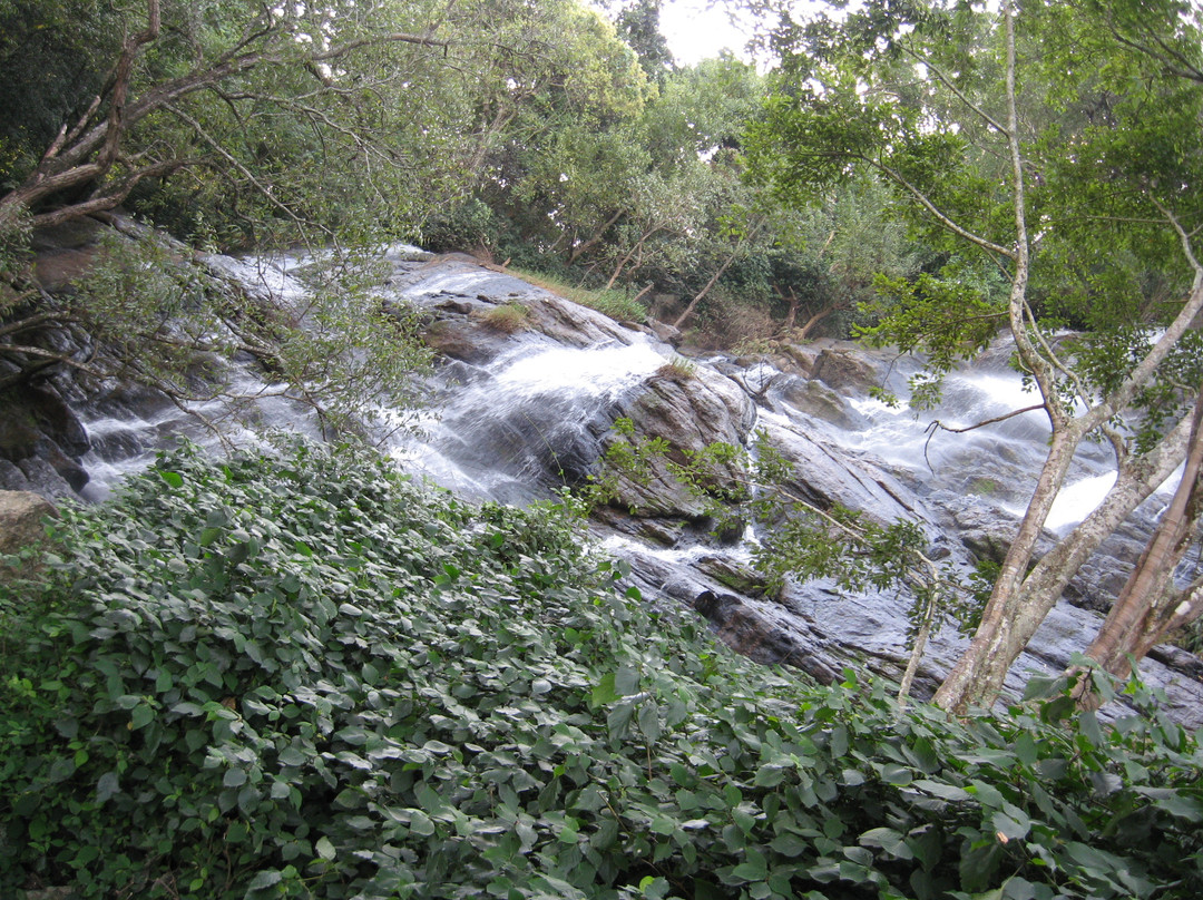 Kiliyur Falls景点图片