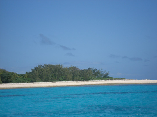 格列夫人岛-马斯格雷夫夫人岛必去景点