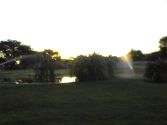 Harnas Wildlife Foundation-Gobabis必去景点