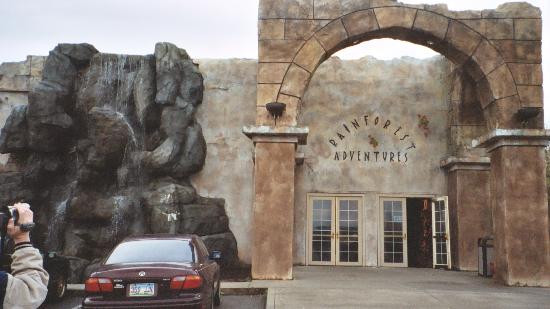 Rainforest Adventures-塞维尔维尔必去景点