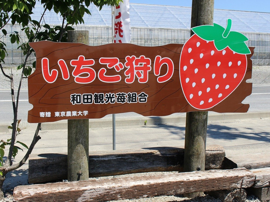 Wadakanko Strawberry Association-相马市必去景点