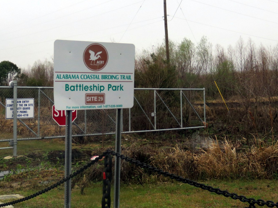 Alabama Coastal Birding Trail-格尔夫海岸必去景点