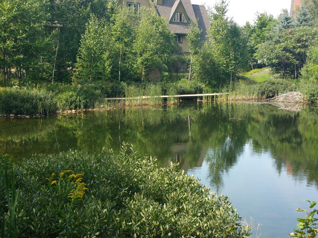 Le Plateau by Tremblant Sunstar主图