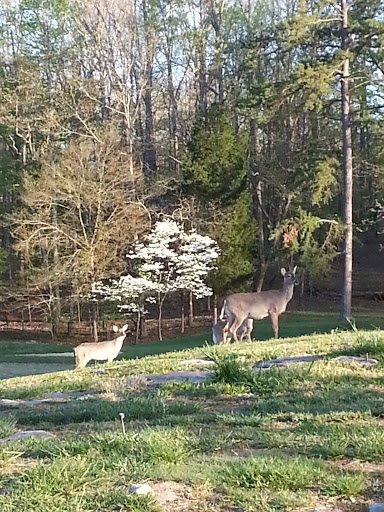 Woodson Bend Resort