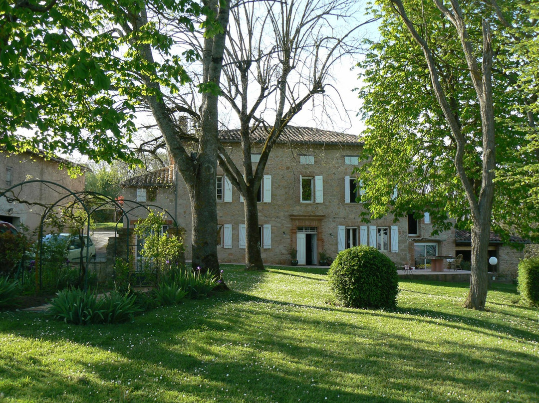 Saint-Sulpice-la-Pointe旅游攻略图片