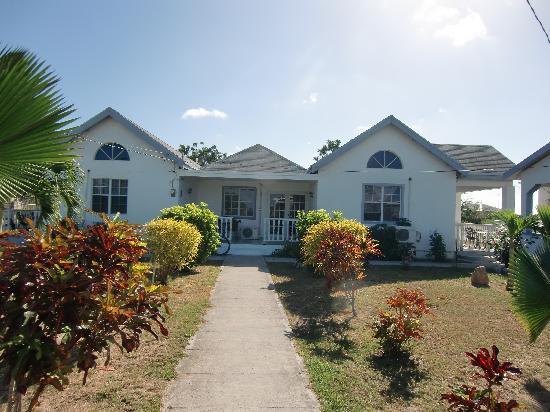 巴布达酒店住宿-Palm Tree Guest House