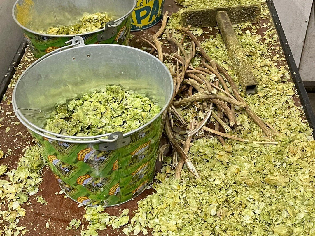 Sierra Nevada Brewing Co. Tours & Tastings-奇科必去景点