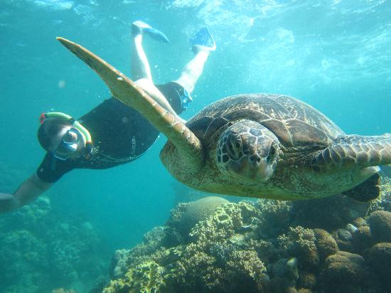 波长礁-道格拉斯港必去景点