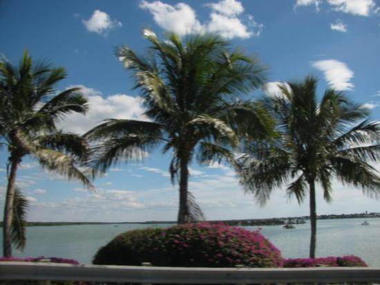 Marco Island Marina景点图片