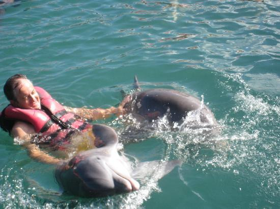 巴伊阿那然朱自然公园-奥尔金必去景点