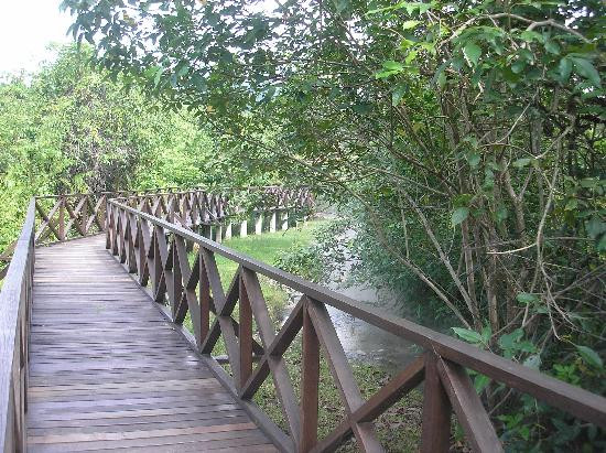 Felda Residence Hot Spings-宋溪必去景点