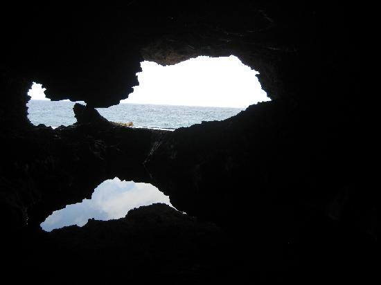 Animal Flower Cave-Saint Lucy Parish必去景点