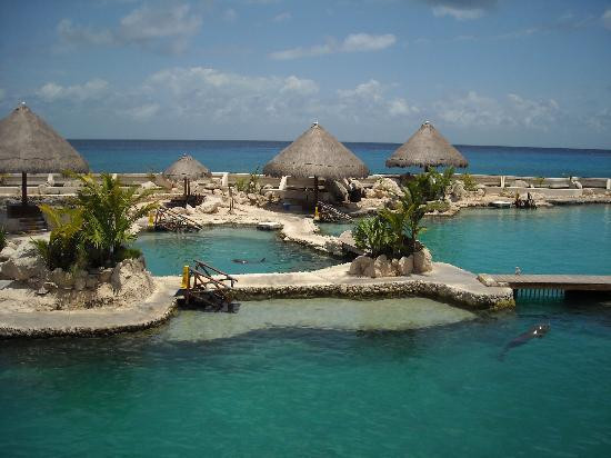 Dolphinaris-考祖梅必去景点