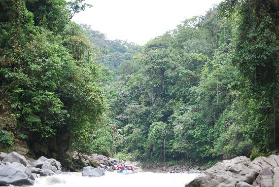 Pacuare River景点图片