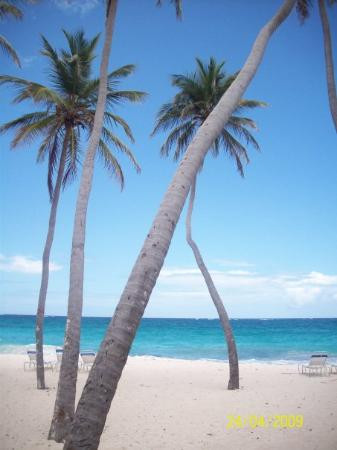 Bottom Bay-Saint Philip Parish必去景点