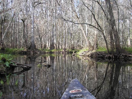 Canoe Escape-Thonotosassa必去景点