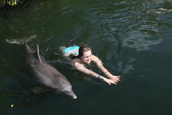 Theater of the Sea-伊斯拉摩拉达必去景点