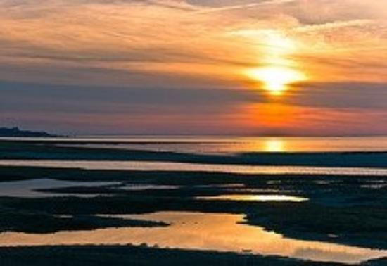Paine's Creek Beach景点图片