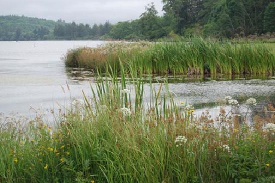 Cullaby Lake-Warrenton必去景点