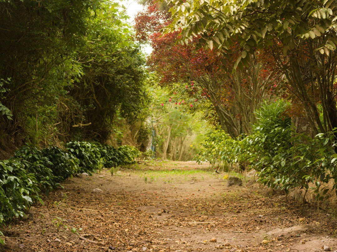 Hosteria Cananvalle主图