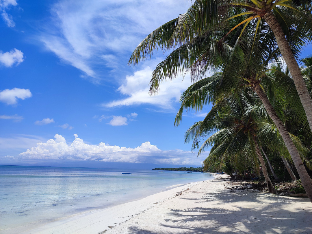 圣诞节度假村主图