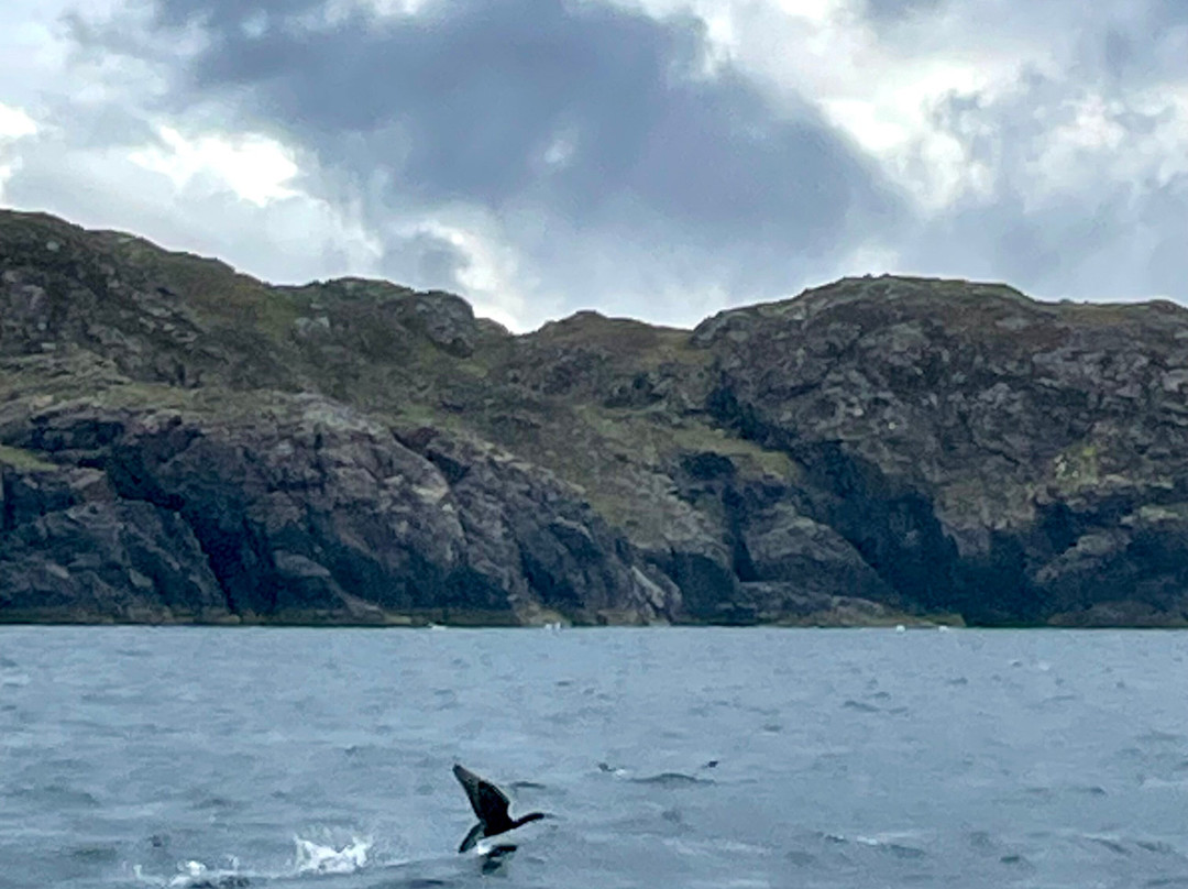 Suilven Sea Charters景点图片