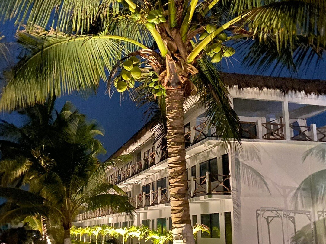 Hotel Estrella Del Mar主图