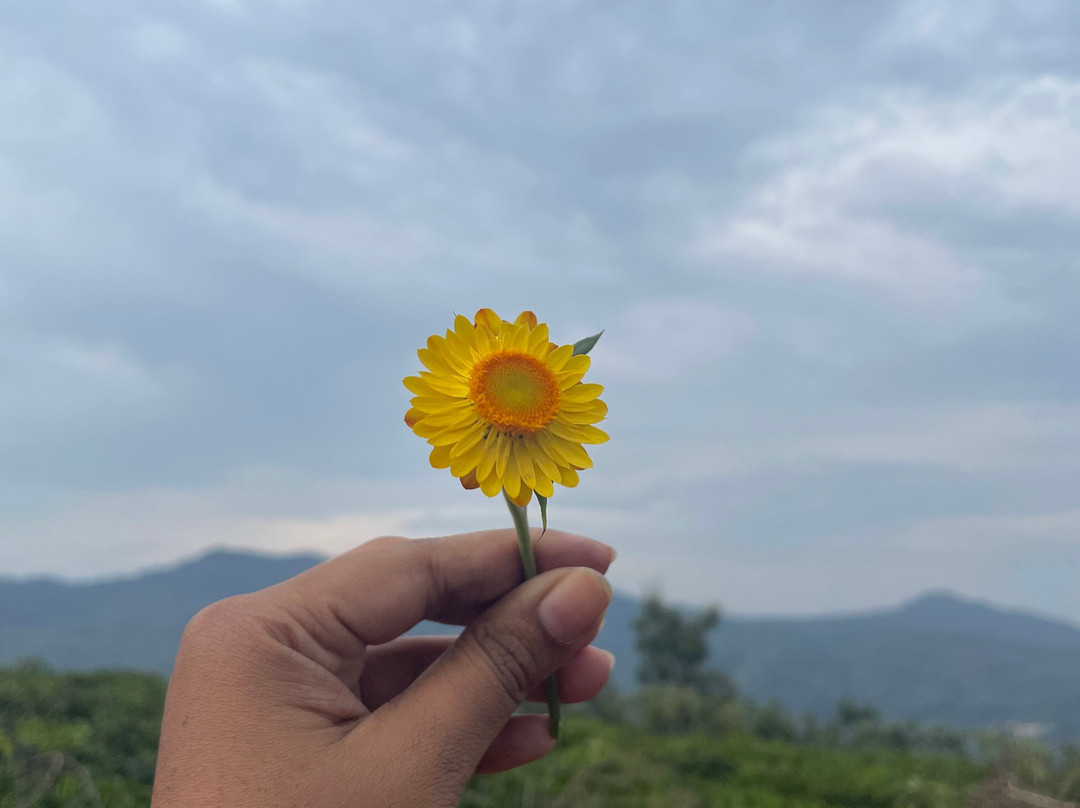 Jagathala旅游攻略图片