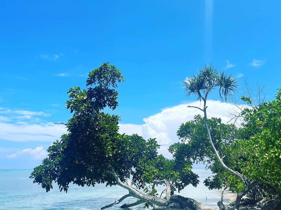 Canigao Island-Leyte Island必去景点