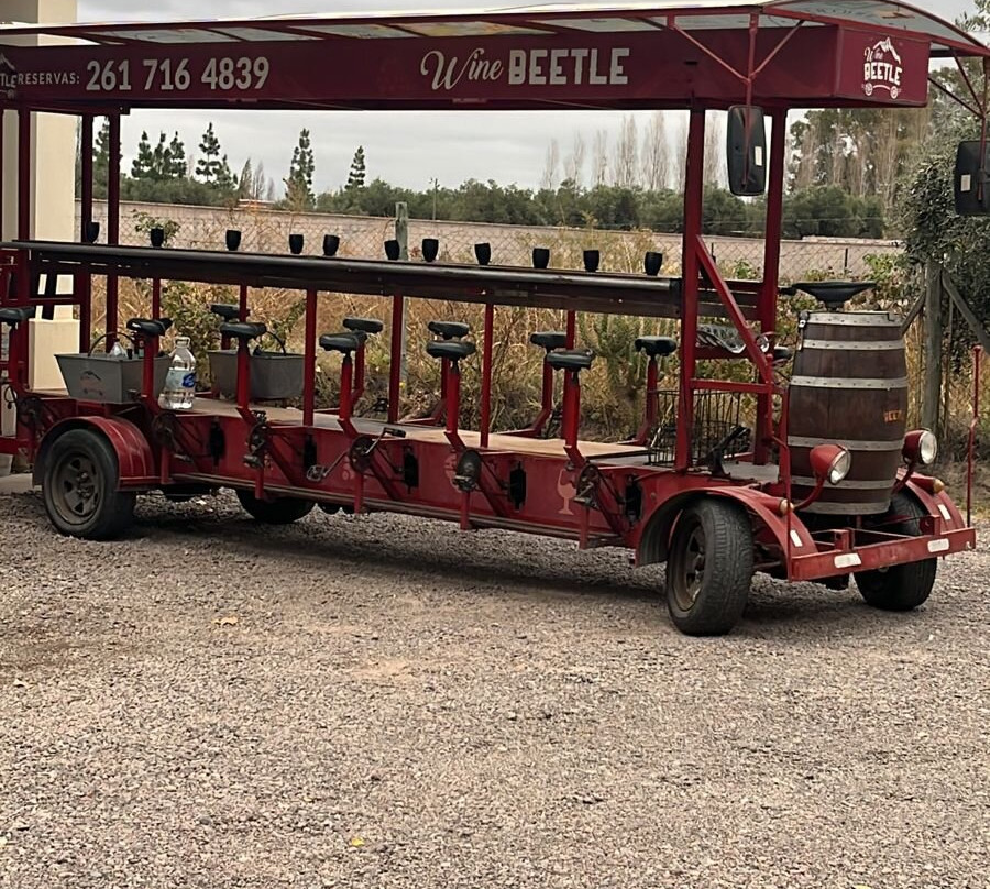 WineBeetle-Coquimbito必去景点