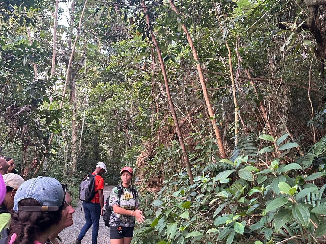 El Yunque Tours-Rio Grande必去景点
