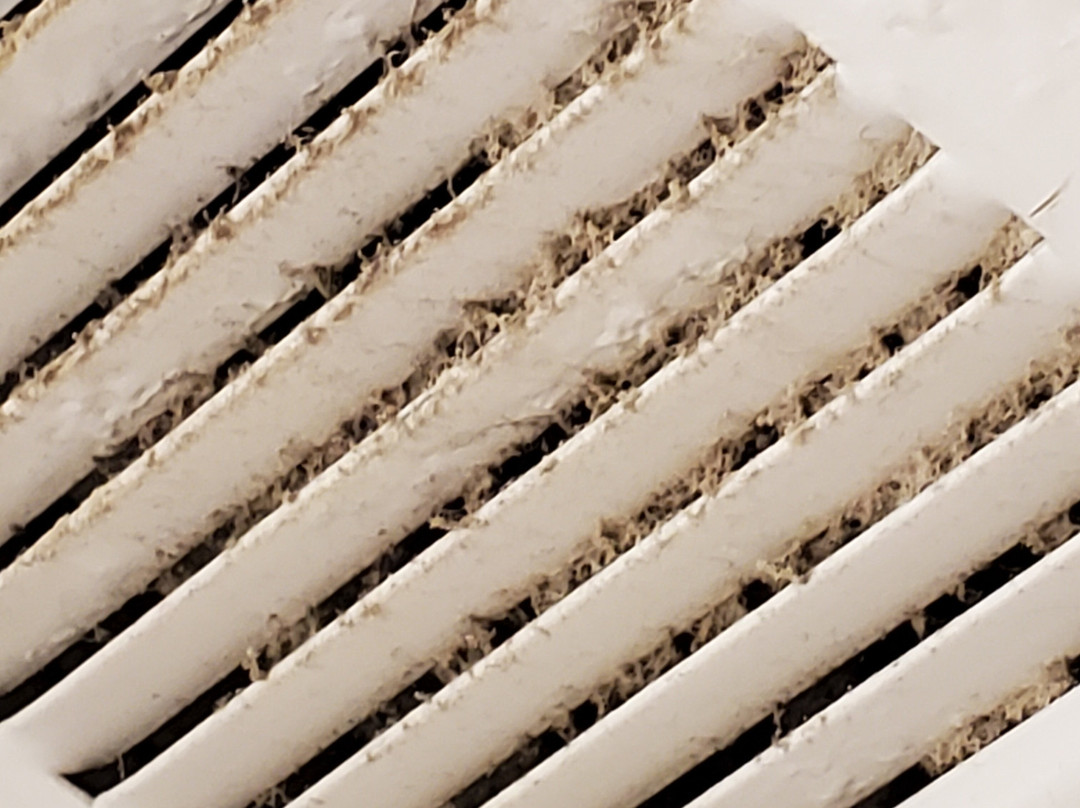 Candlewood Suites Cape Girardeau By IHG主图