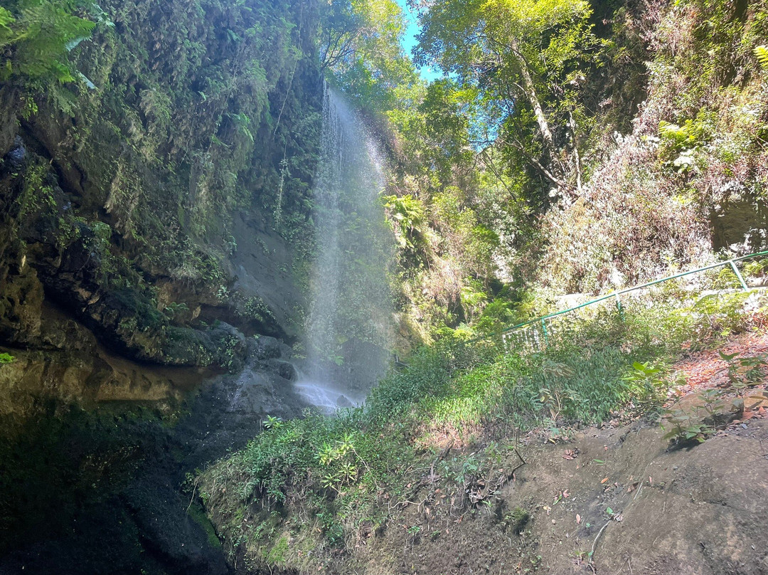 Cascada De los Tilos景点图片