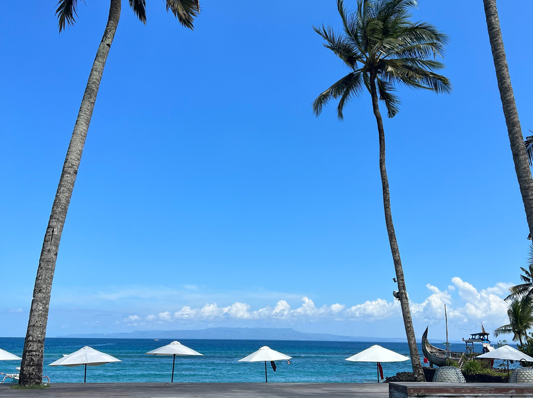 Budi Bali Transport & Tour-甘地达萨必去景点