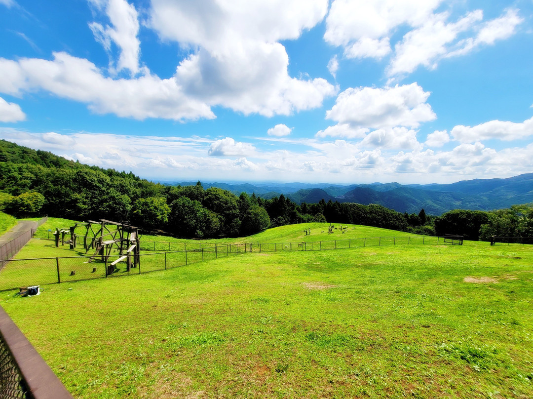 Chichibu Kogen Farm-东秩父村必去景点